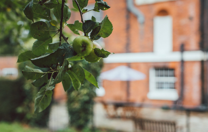 elderly care resources at Goole Hall